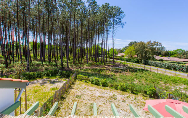 Les Fougères - Photo 27