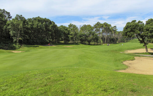 Les Fougères - Photo 35