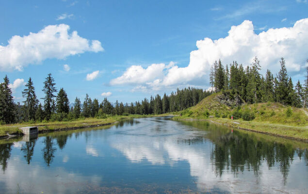 Apart Anneliese - Photo 46