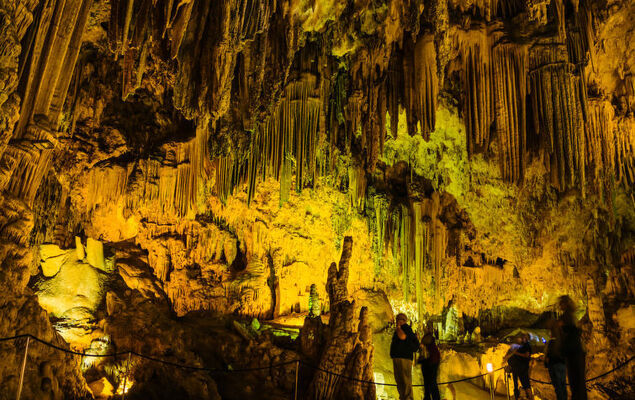 Colina Alta - Photo 40