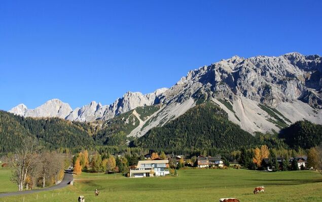 Annis Nest - Photo 15