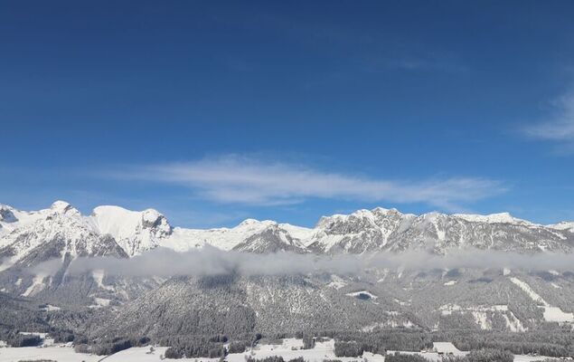 Annis Nest - Photo 17