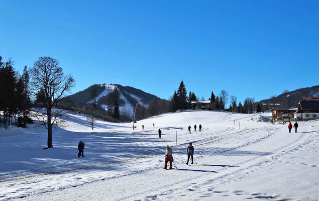 Annis Nest - Photo 23