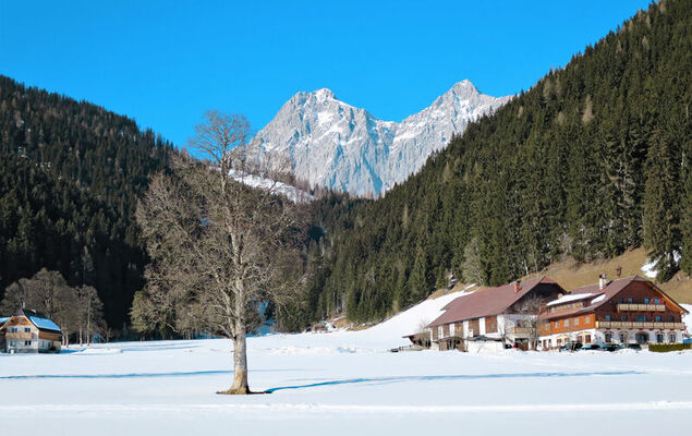 Annis Nest - Photo 25